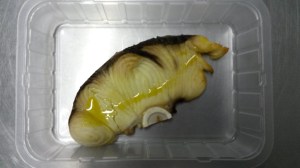 RODAJA DE CAELLA A LA PLANCHA